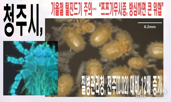 이미지 출처_청주시