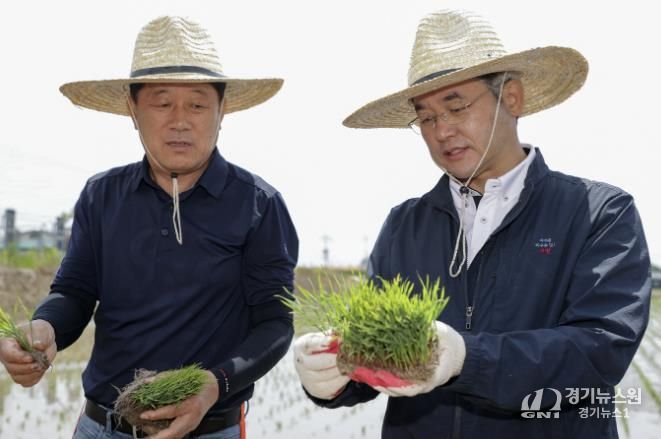 가와지1호 모내기 시연에 참석한 이동환 고양특례시장