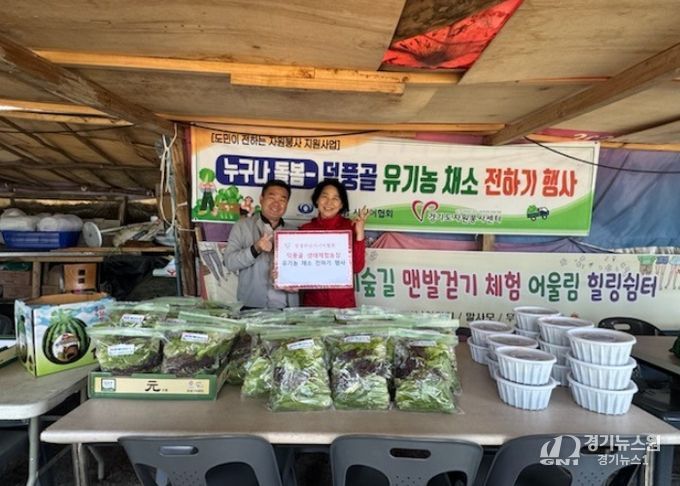 청정하남시니어협회, 미사2동 취약계층 노인 유기농 상추 수확 전달
