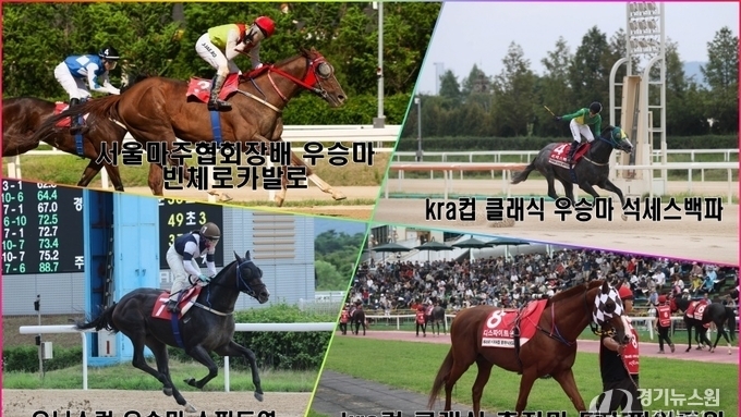 ‘2025 코리아컵·코리아스프린트’, 주목해야 할 관전 포인트는?