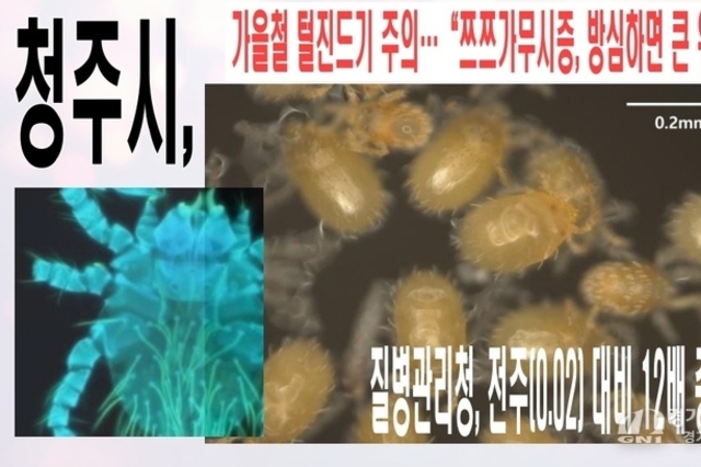청주시, 가을철 털진드기 주의…“쯔쯔가무시증, 방심하면 큰 위협”