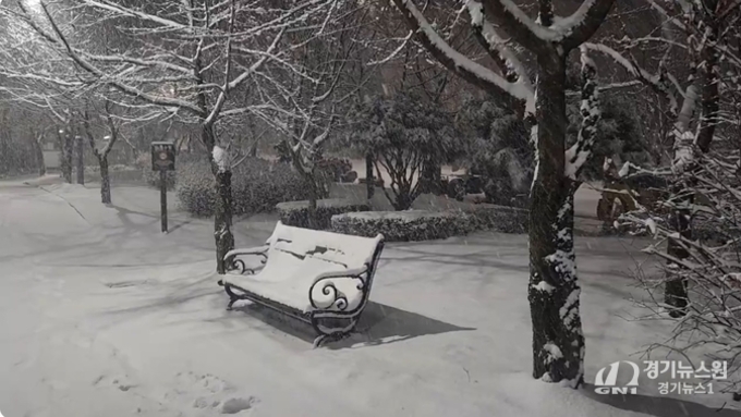 대설인가 폭설인가??