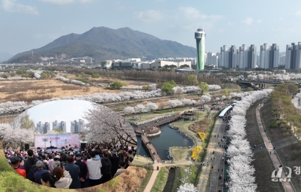 2026 하남 봄봄 문화축제.."벚꽃 절정의 봄 축제" 호응도 만발