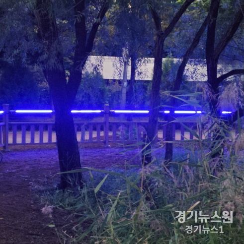 상동호수 주변 울타리에 설치된 안전사고 방지 시스템. 위험 상황 발생 시 푸른빛으로 변한다.