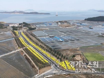 인동귤의 섬 하의도 방한 작업 전경