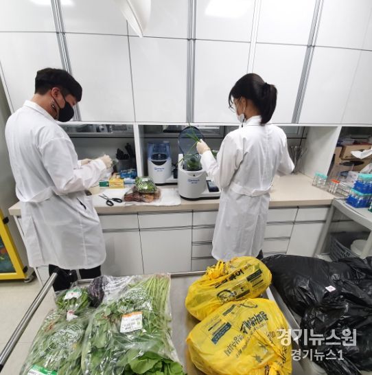 잔류농약검사