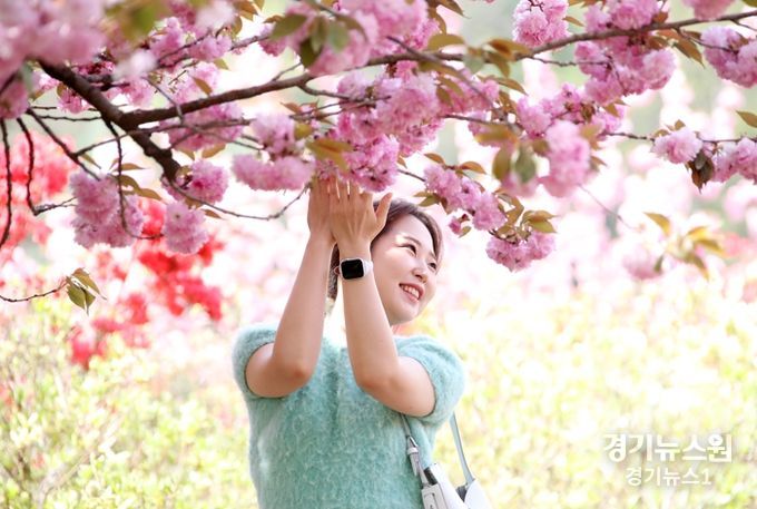 전주의 봄, 완산공원 꽃동산에서 ‘만끽’ 