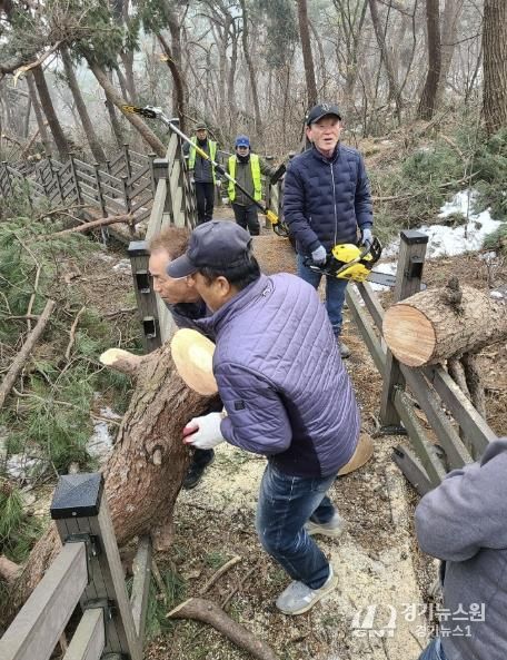 광주시 도척면, 폭설로 인한 위험 수목 임시 정비