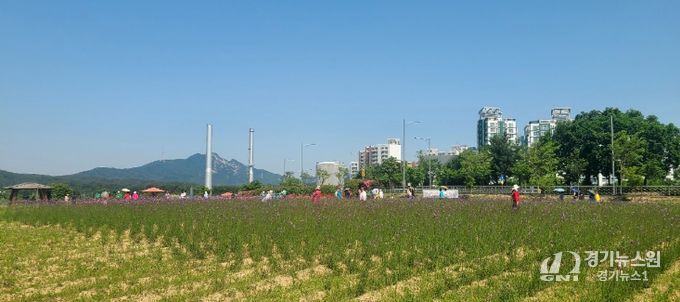 양주시 나리농원, 봄 무료개장 1.2만 명 방문…가을엔 입장료 쿠폰제 도입