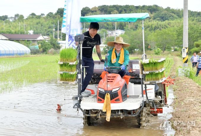 2025년 담양 통일쌀 모내기 행사’