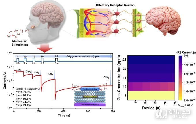 연구 결과의 개념도 및 분자 농도에 따른 전도도 제어 결과
