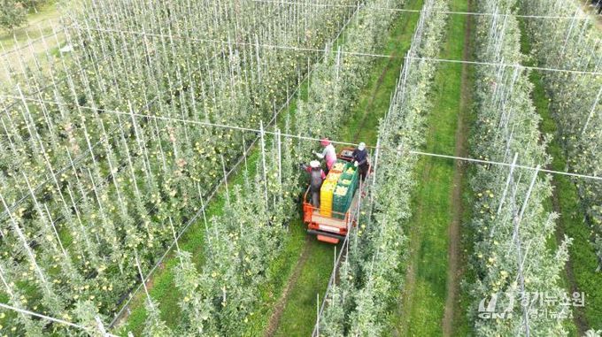 청송군, 2026년도 과수생산분야 지원사업 신청접수