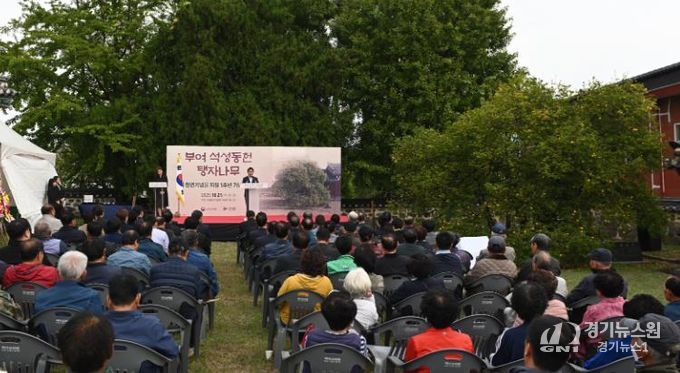 부여 석성동헌 탱자나무 천연기념물 지정 1주년 기념행사