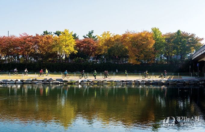 단풍과 함께 달리는 대구 힐링 라이딩 코스 7선!