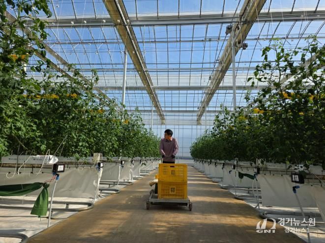 남원시, 26년 청년창업 스마트팜 패키지 지원사업 예산확보