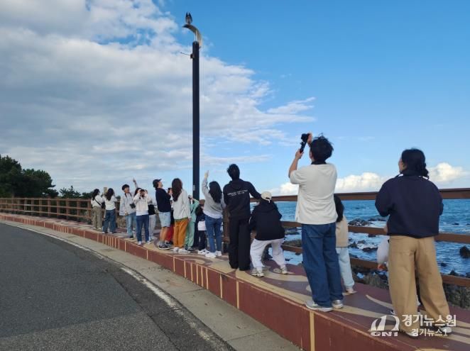 울산기후위기대응센터는 25일 간절곶 일대에서 '철새 관찰' 특별 프로그램을 열었다.j