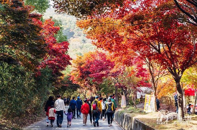 추천 관광지 사진-구례 지리산 피아골.
