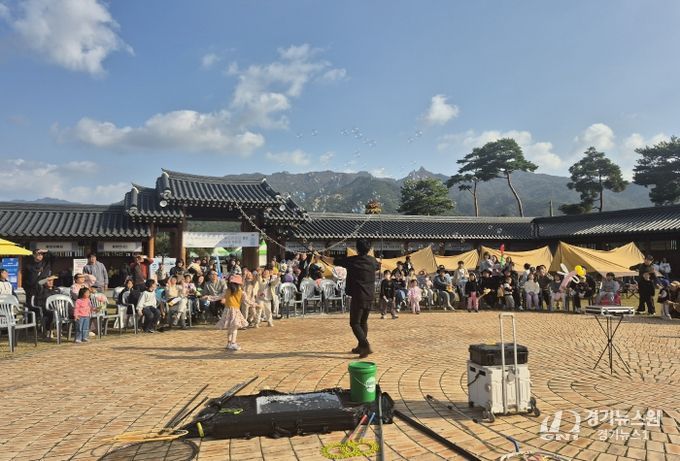 영암군 목재누리 페스티벌_버블쇼