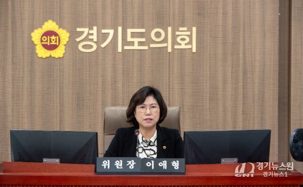 경기도의회 이애형 의원