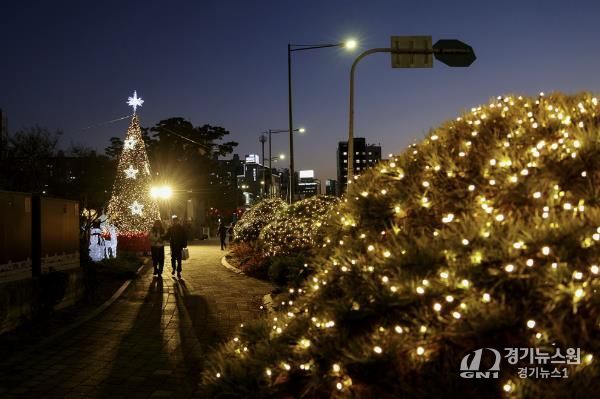 방학사계광장을 밝히고 있는 크리스마스 트리
