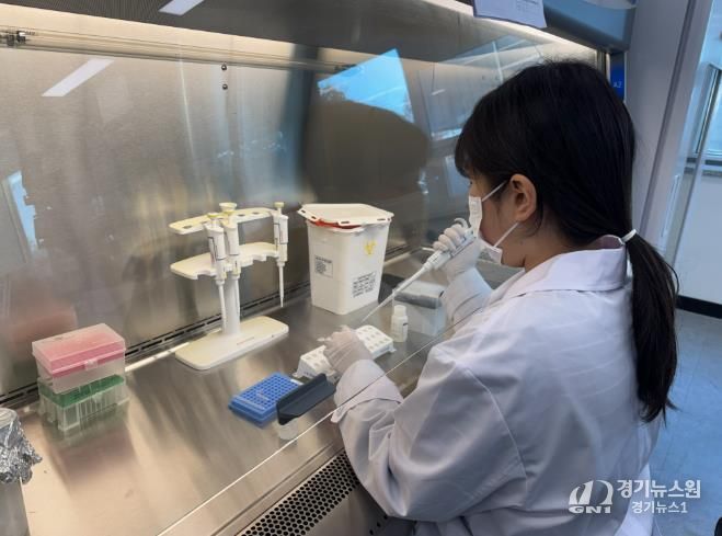 하수 유입수 병원체 바이러스 검사 사진