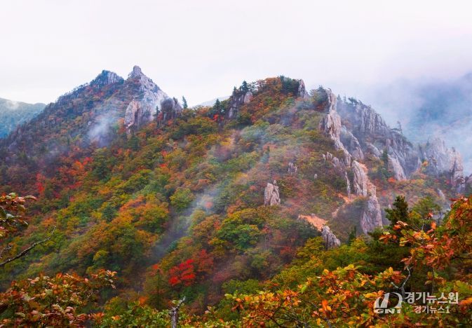 금상 어승완 공룡능선의비경(경기 군포)