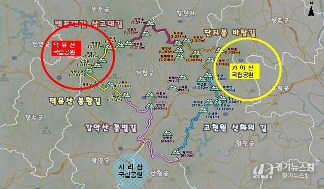 거창군, 산림으로 여는 미래, 관광‧기후‧경제 세 마리 토끼 잡는다