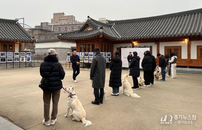 수원시가 매너견 교육 인증자와 반려견을 대상으로 반려동물 문화교실을 운영하고 있다.