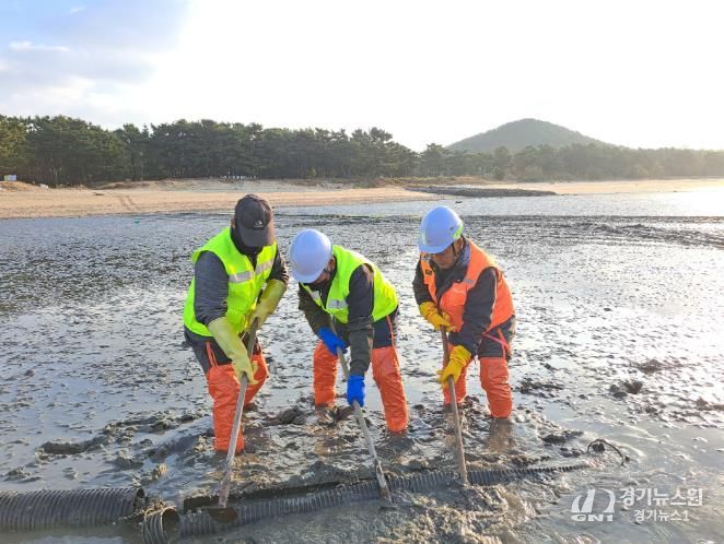 ‘패류 생산력 회복강화’ 인천 중구, 양식 어장 110ha 정화 사업 완료