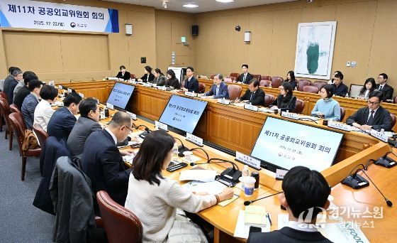 제11차 공공외교위원회