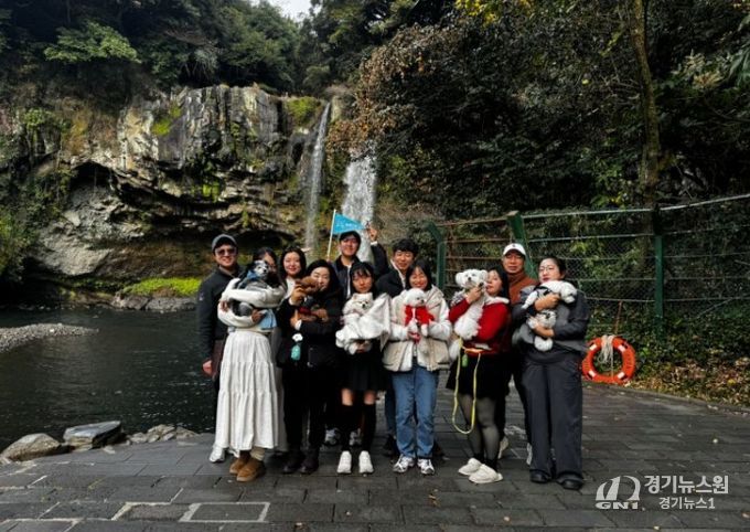 댕댕이와 비행기타고 서귀포 여행