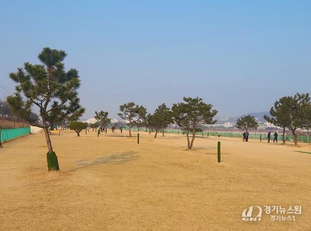 안동시, 2026년부터 파크골프장 시 직영 운영