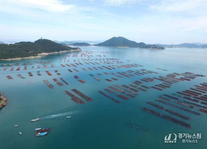 완도 전복 양식장 전경