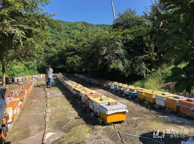 남원시, 양봉산업 활성화를 위한 기자재 지원사업 추진