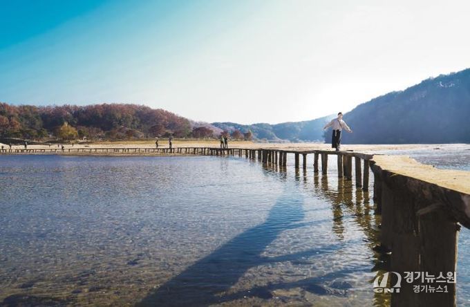 영주 무섬마을과 외나무다리, ‘제2기 로컬100’ 최종 선정(무섬마을 외나무다리 사진)