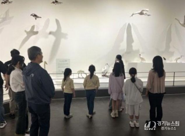 자유대전 멘토링 프로그램