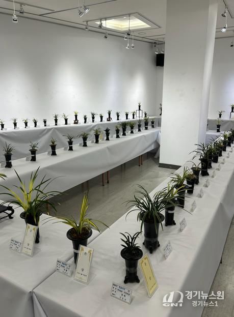 2025년 난 연합회 봄 전시회