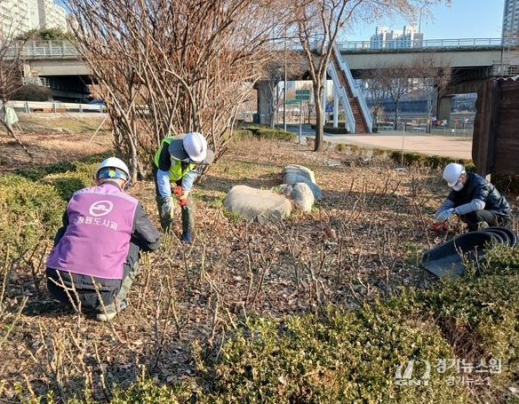 5월 장미 개화 앞두고 중랑천 장미 집중 관리