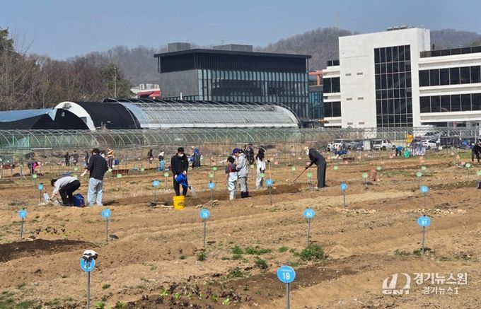 광명시 하안동 밤일마을에 자리한 시민주말농장에서 시민들이 땅을 가꾸고 있다.