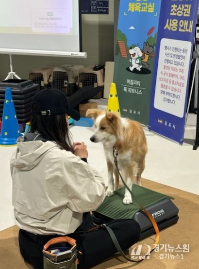 댕댕체육교실 중 독피트니스 프로그램을 진행하는 모습