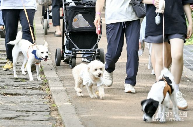 지난해 6월 14일 관내 안산(鞍山) 반려견 산책로에서 열린 ‘반려동물과 함께 걷기 행사’ 모습
